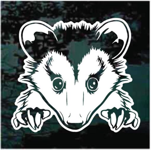 opossum possum window decal sticker for cars and trucks
