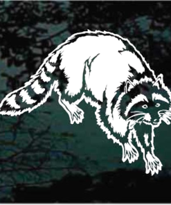 Raccoon walking decal Sticker
