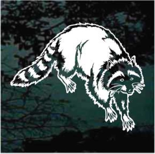 Raccoon walking decal sticker for cars and trucks