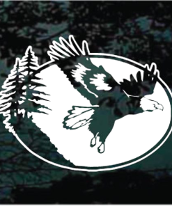 soaring eagle scene window decal Sticker