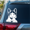 Cute Cat Kitten Peeking Decal Sticker