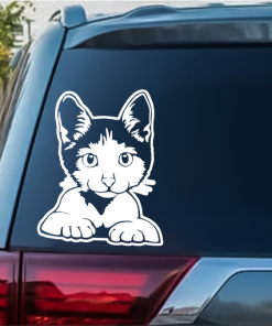 Cute Cat Kitten Peeking Decal Sticker
