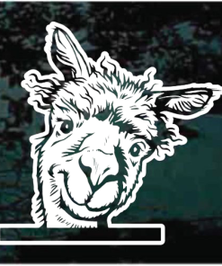 Alpaca Peeking Window Decal Sticker