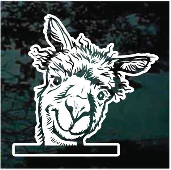 Alpaca Peeking Window Decal Sticker