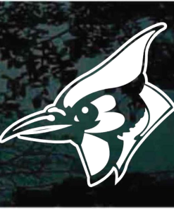 Blue Jay Head Bird Decal Sticker