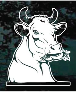 Bull Peeking Decal Sticker
