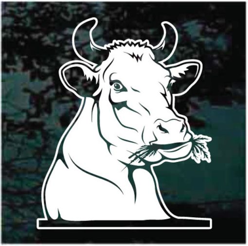 Bull Peeking Decal Sticker