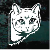 Cat Peeking Window Decal Sticker