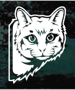 Cat Peeking Window Decal Sticker