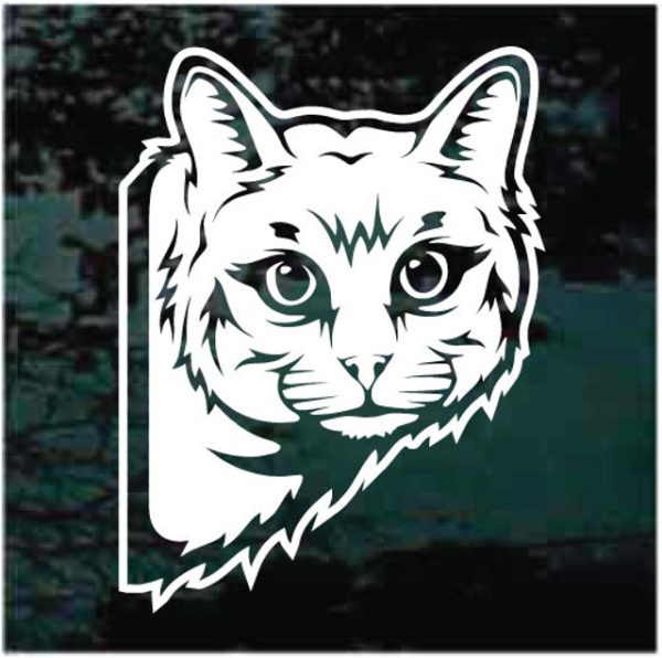 Cat Peeking Window Decal Sticker