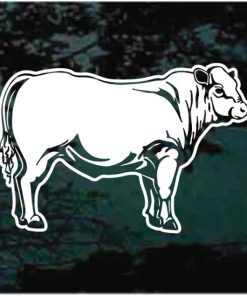 Charolais Cow Decal Sticker
