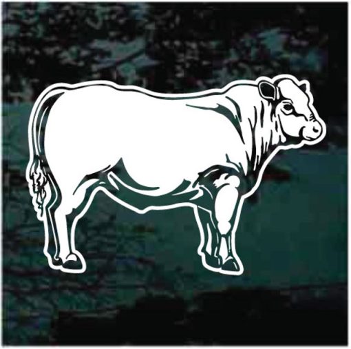 Charolais Cow Decal Sticker