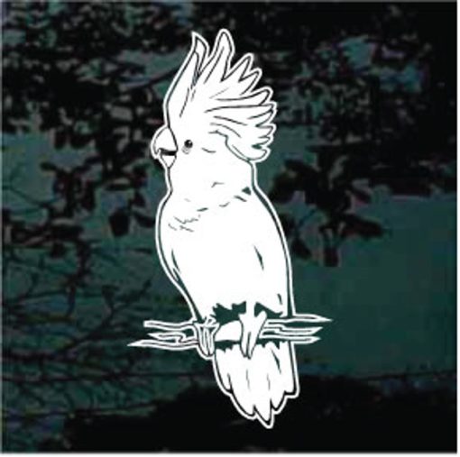 Cockatoo Perched Decal Sticker