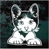 Cute Cat Kitten Peeking Decal Sticker