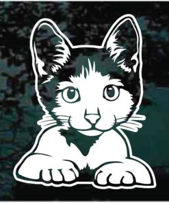 Cute Cat Kitten Peeking Decal Sticker