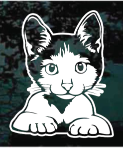 Cute Cat Kitten Peeking Decal Sticker