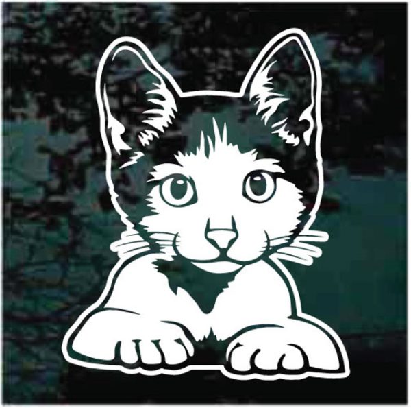 Cute Cat Kitten Peeking Decal Sticker