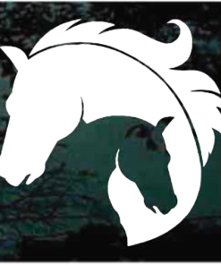 Horse Head Love Yin Yang Decal Sticker