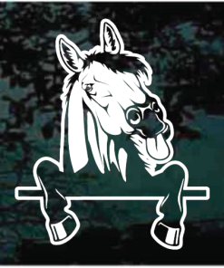 Horse Peeking over Fence Decal Sticker