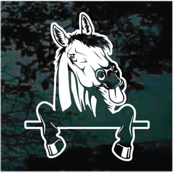 Horse Peeking over Fence Decal Sticker