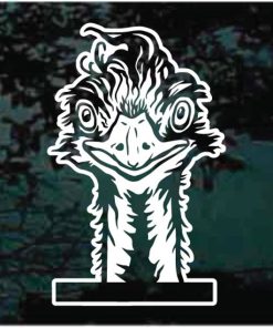 Ostrich Peeking Decal Sticker