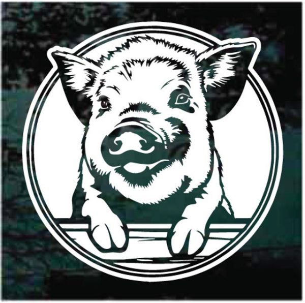 Pig Peeking Round Decal Sticker