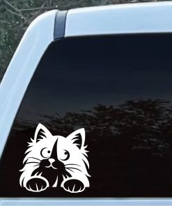 Fluffy Cat Kitten Peeking Window Decal Sticker