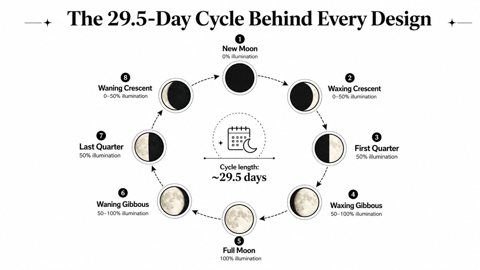 A circular diagram illustrating the eight moon phases and their 29.5-day cycle with illumination percentages.
